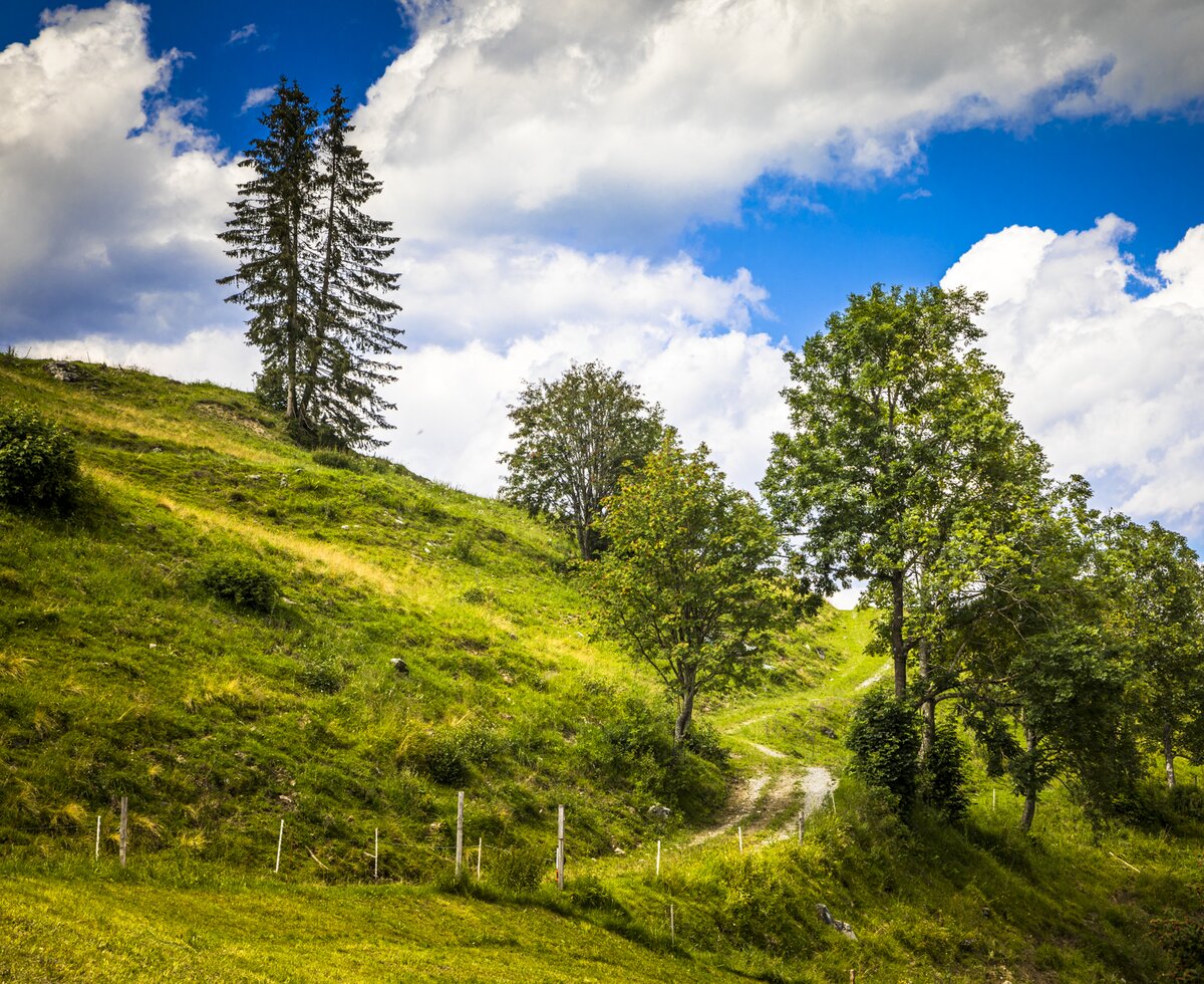 Wandern im Großarltal, Unterviehhausbauer, Salzburger Land | © Urlaub am Bauernhof / Bernd Suppan