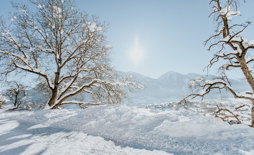 Winter Landschaft, Salzburger Sonnenterrasse | © TVB Sonnenterrasse Winter Landschaft, Salzburger Sonnenterrasse | © TVB Sonnenterrasse