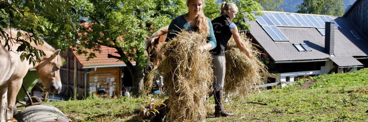 Zwei Frauen holen Heu für die Pferde, Urlaubsregion Murau-Murtal, Steiermark | © Urlaub am Bauernhof Steiermark / Kufferath