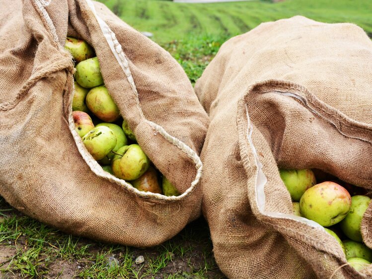 Äpfel in Jutesäcken, Steiermark | © Urlaub am Bauernhof Steiermark / Margit Terpotitz