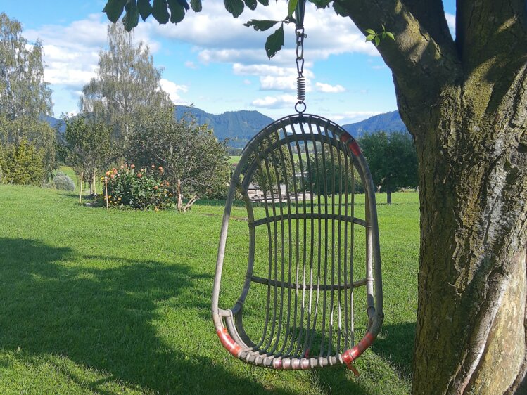 Hängestuhl auf einem Baum im Grünen, Almenlandhof, Steiermark | © Urlaub am Bauernhof Steiermark / Evelyn Götz