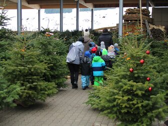 Kinder spazieren neugierig zwischen den Weihnachtsbäumen | © Urlaub am Bauernhof Steiermark / Crosseye