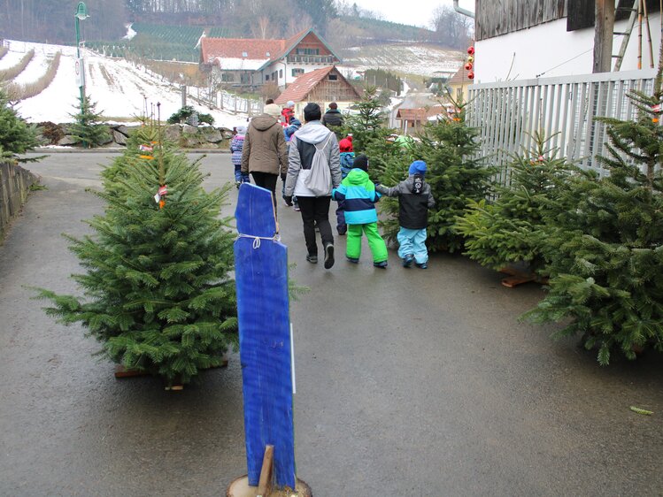 Familien beim Christbaumkauf, Bauernhof Grain, Steiermark | © Urlaub am Bauernhof Steiermark / Crosseye