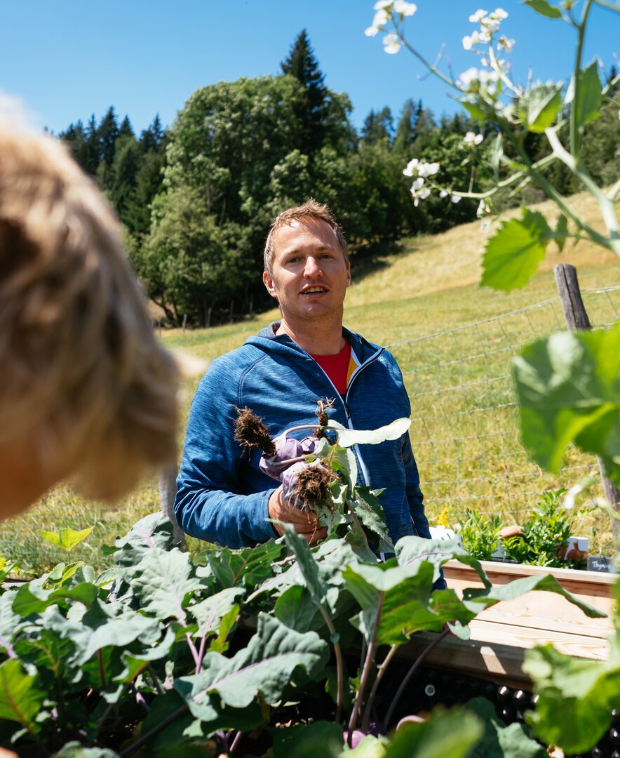 Bauer erntet frisches Gemüse vom Hochbeet | © Urlaub am Bauernhof Steiermark / Daniel Gollner