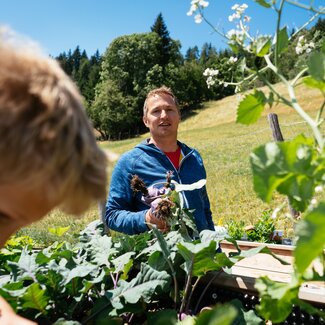 Bauer erntet frisches Gemüse vom Hochbeet | © Urlaub am Bauernhof Steiermark / Daniel Gollner