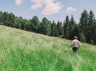 Frau geht auf grüner Wiese | © Urlaub am Bauernhof Steiermark / Sabine Ertl