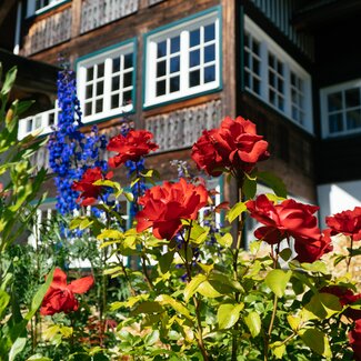 Rot blühende Blume vor dem Bauernhaus mit Holzfront am Bauernhof Leitenmüller in Ramsau | © Urlaub am Bauernhof Steiermark / Daniel Gollner