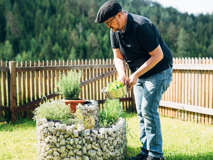 Kräuterholen von der Kräuterspirale im Garten, Leodolter, Steiermark | © Urlaub am Bauernhof Steiermark / Daniel Gollner