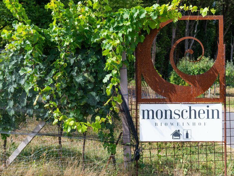 Hoftafel Weingut Monschein, Steiermark | © Urlaub am Bauernhof Steiermark / Sabine Ertl