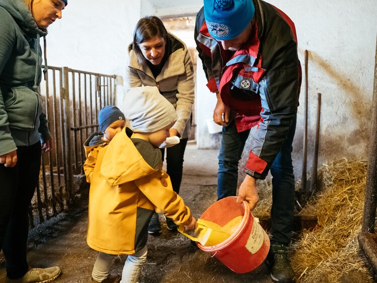 Kinder im Stall beim Schweinefüttern, Familie Orthofer, Steiermark | © Urlaub am Bauernhof Steiermark / Daniel Gollner