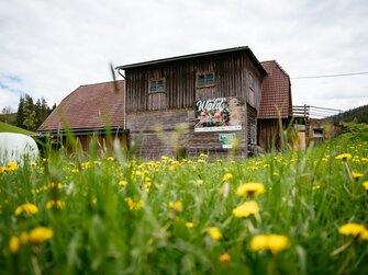 Blick auf das Stallgebäude am Bauernhof Rossegger mit Löwenzahn im Vordergrund, Steiermark | © Urlaub am Bauernhof Steiermark | Daniel Gollner