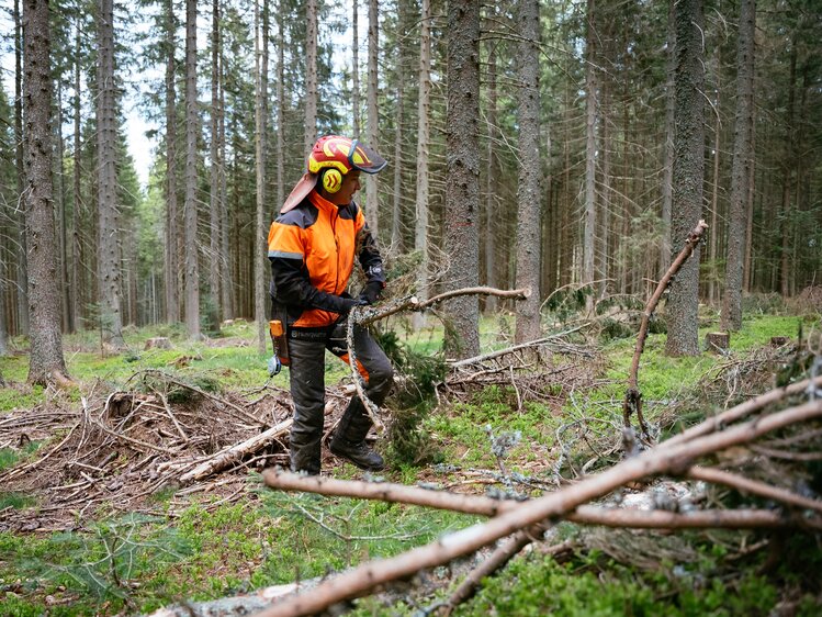 Bei der Holzarbeit im Wald, Rossegger, Steiermark | © Urlaub am Bauernhof Steiermark | Daniel Gollner