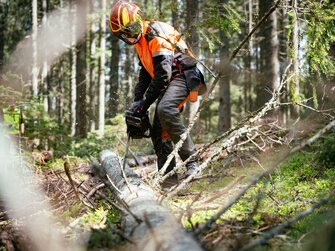 Bauer beim Schneiden eines Baumes im Wald, Rossegger, Steiermark | © Urlaub am Bauernhof Steiermark | Daniel Gollner