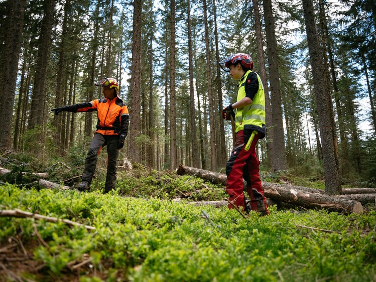 Bei der Forstarbeit im Wald, Rossegger, Steiermark | © Urlaub am Bauernhof Steiermark | Daniel Gollner