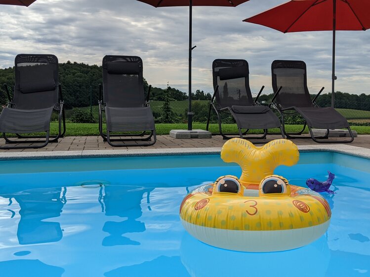 Pool mit Plastikfigur im Wasser, Schwalbenhof, Steiermark | © Urlaub am Bauernhof Steiermark / Evelyn Götz