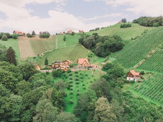 Luftaufnahme der wunderschönen Umgebung mit Weinbergen und des Betriebes der Familie Stoff | © Urlaub am Bauernhof Steiermark / Sabine Ertl