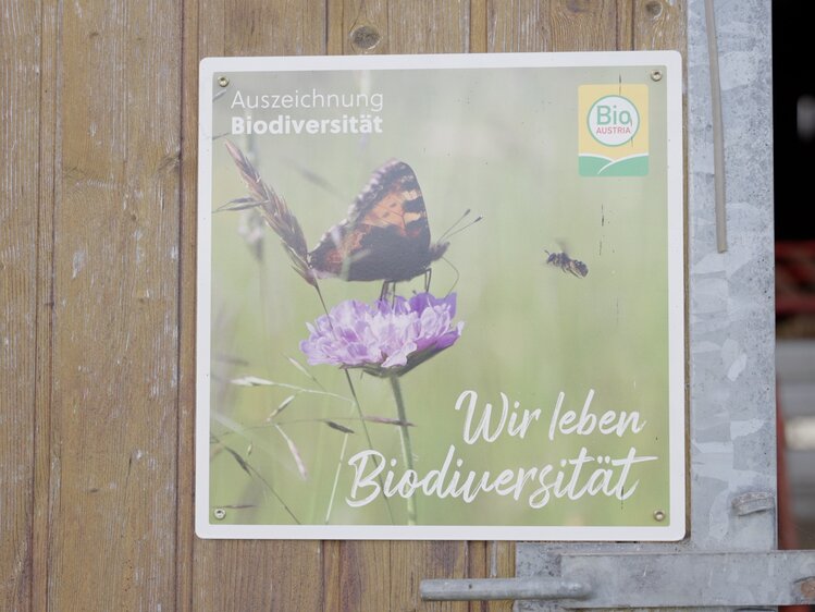 Biodiversität am Weberhof, Steiermark | © Urlaub am Bauernhof Steiermark / Daniel Gollner