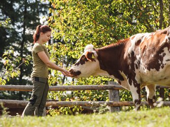 Ein Mädchen füttert mit der Hand eine Kuh, Forstbauer, Steiermark | © Urlaub am Bauernhof / Punkt & Komma