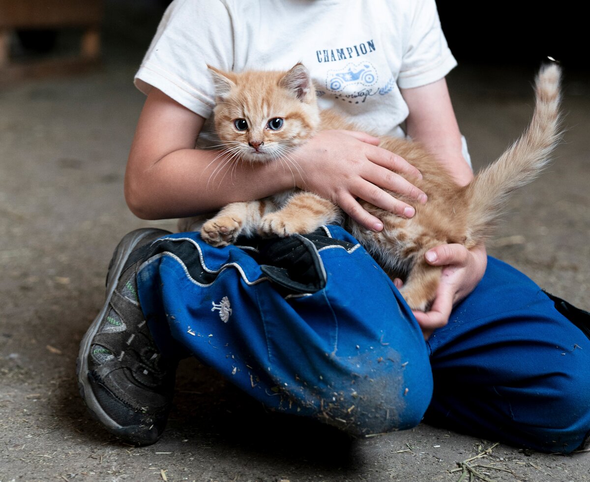 Katze am Pircharchhof | © Black Tea Fotografie/Viktoria Gstrein  