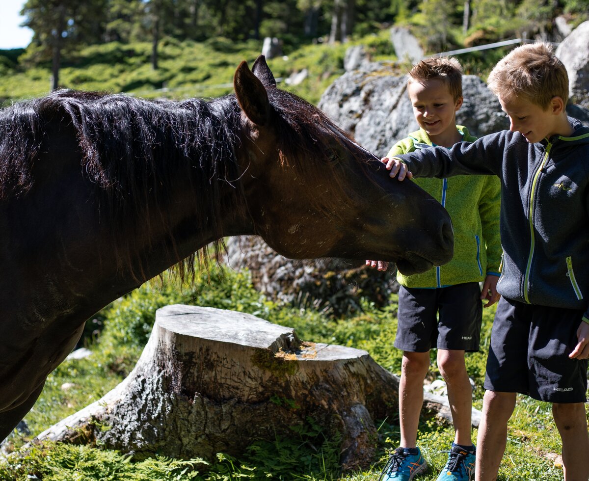 Kinder mit Pferd im Debanttal | © TVB Osttirol/ Assil Hannah