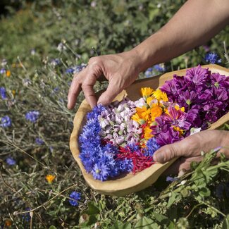 Blüten werden in der Schale gesammelt | © Urlaub am Bauernhof Tirol / Lisa Hörterer