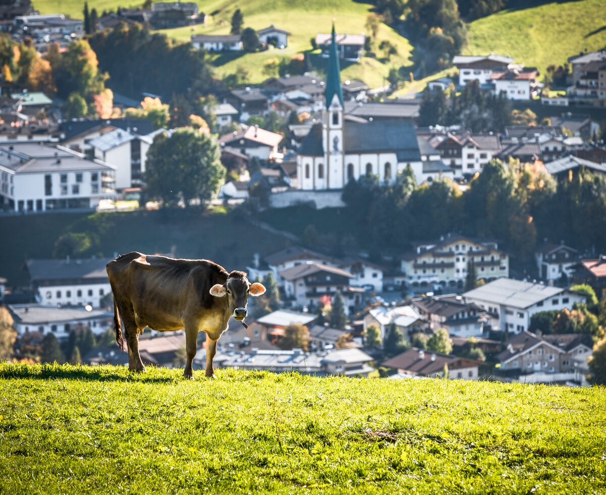 Kirchberg | © TVB Kitzbüheler Alpen-Brixental/ Mathäus Gartner