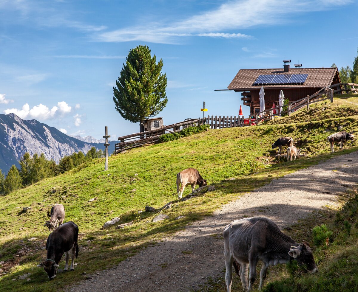 Leiner Alm | © TVB Pitztal/ Chris Walch (Breonix Foto-Design)