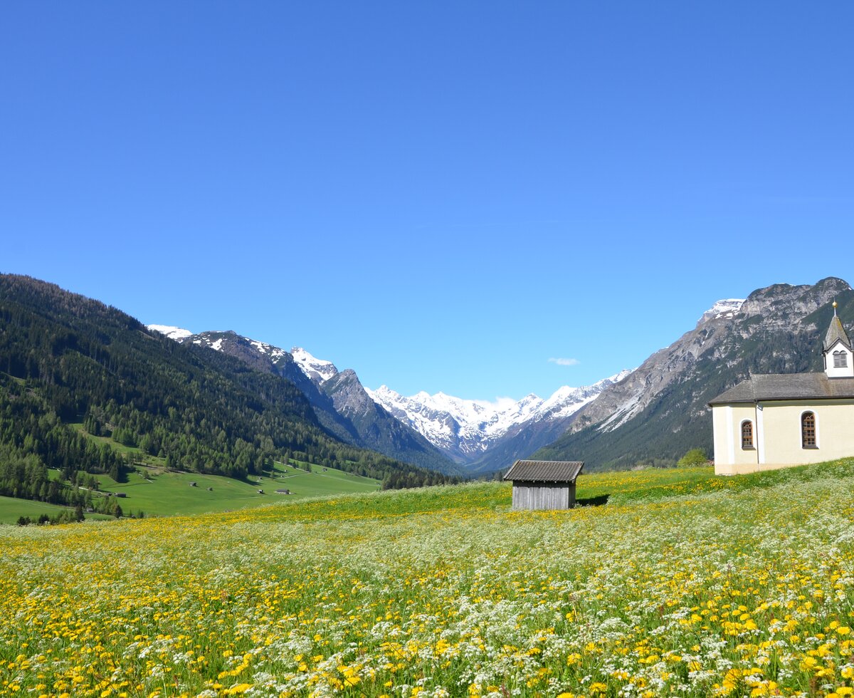 Gschnitztal | © Urlaub am Bauernhof - TVB Wipptal