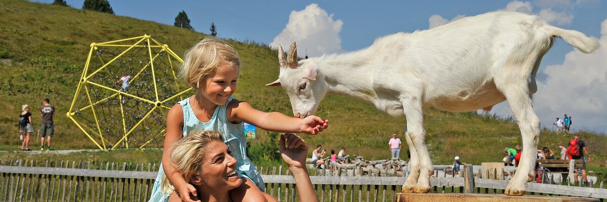 Spielplatz Spieljoch | © TVB Erste Ferienregion Zillertal/Wörgötter&Friends