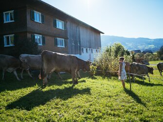 Mädchen bei den Kühen vor dem Hof | © Urlaub am Bauernhof Vorarlberg / Daniel Gollner