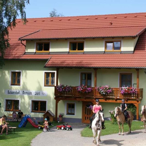 Sommer am Bauernhof Pension Juri