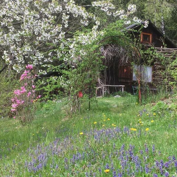 Frühlingsblüten um die Kräutlhütte