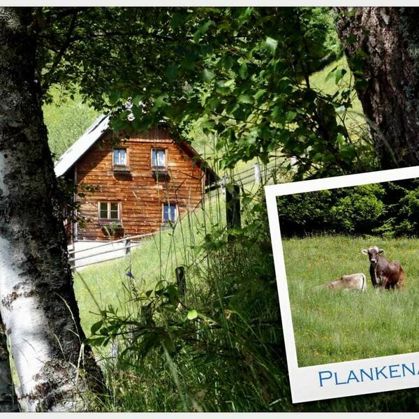 Plankenhütte