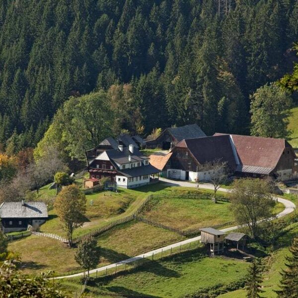 Urlaub am Bauernhof Fam. Rossegger, vlg. Schmiedhofer  Hochsteiermark